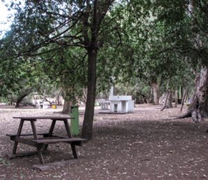 Camping Ymcamar Monte Hermoso