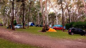 camping complejo americano-monte-hermoso