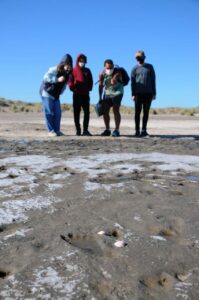 Huellas Monte Hermoso