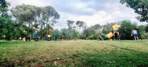 Paseo del Pinar juegos
